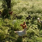 Al Tetto Rosso Casa Nella Natura 3*