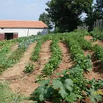 Al Tetto Rosso Casa Nella Natura 3* Acri