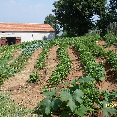 Al Tetto Rosso Casa Nella Natura 3* Acri