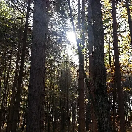 Al Tetto Rosso Eco-friendly B&B