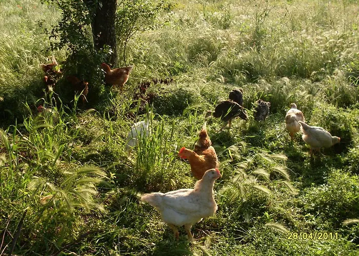 Al Tetto Rosso Casa Nella Natura 2*