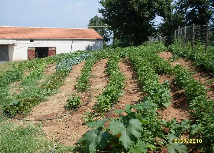 Al Tetto Rosso Casa Nella Natura 3* Acri