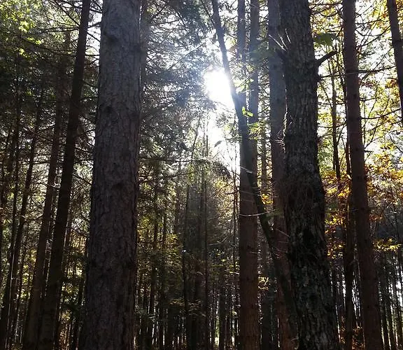 Al Tetto Rosso Casa Nella Natura ベッド・アンド・ブレックファスト