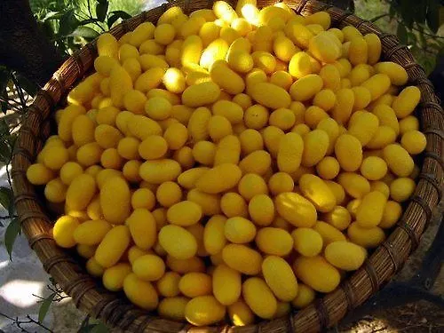 Al Tetto Rosso Casa Nella Natura